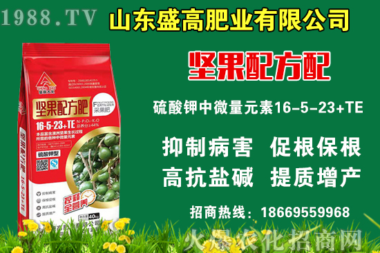 小麥價(jià)格還要上漲嗎？9月9日國(guó)內(nèi)小麥價(jià)格行情！