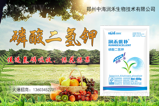 果樹一整年到底該怎么施肥？果樹施肥注意事項(xiàng)有哪些？