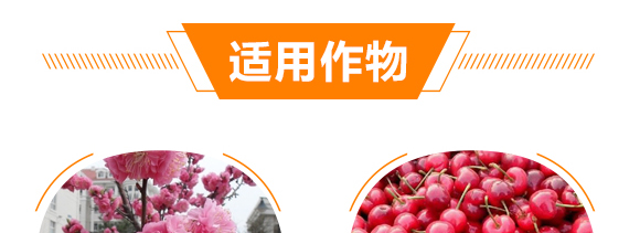 ������������-���r(n��ng)����(y��u)ؐ-���r(n��ng)����_09