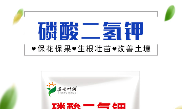 ��������-Ӣ���~��(r��n)_01