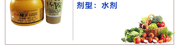 ���τ��˹���Ƥ-����-(li��n)��ϲ�r_04