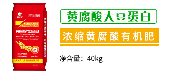 ��s�S�����ЙC(j��)��-�S����󶹵���-�����r(n��ng)�I(y��)_02