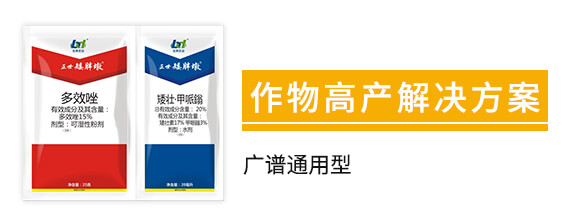 15%��Ч��+20%���ѡ������f-�������ֶ�-���䌍(sh��)�I(y��)_02