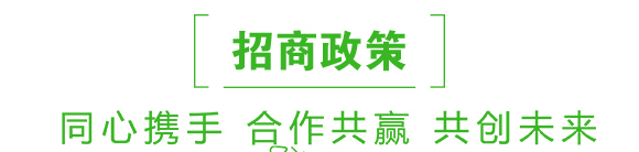 ���݌���-���z��-��Gֲ��_06