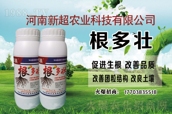 �r�ｨ�O�a���Y��