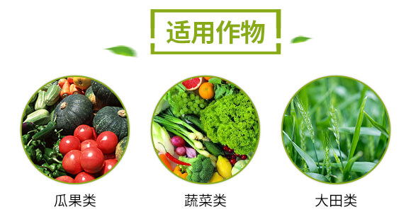 �����-�f������_04