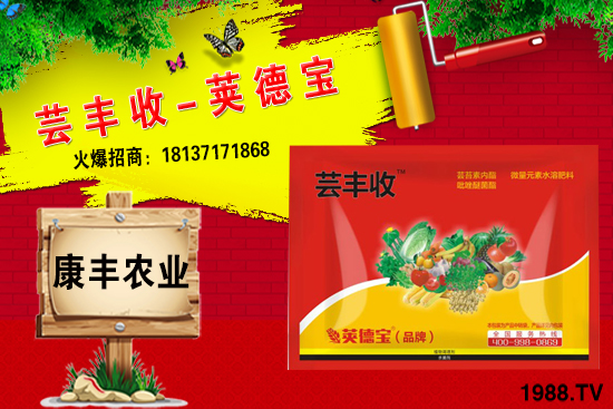 冬季要不要給小麥澆越冬水？小麥冬灌什么時(shí)候合適？