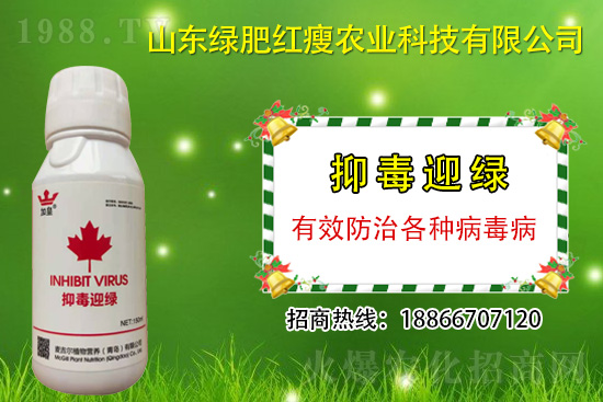 ���β�������Ҳ���ð������ֶ�ӭ�G����(zhu��n)�β�������