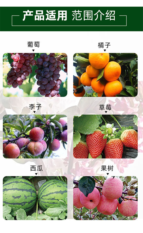 �������-�^�ȴ���-��������_04