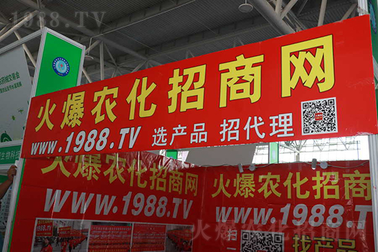 ��s������2021ɽ�|ֲ����(hu��)���𱬾W(w��ng)��������ʢ�e��