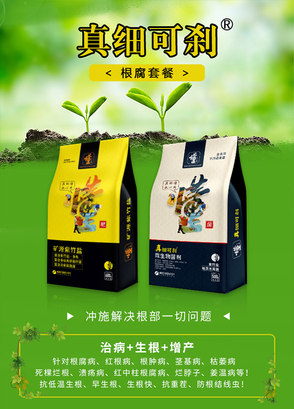 �������ý�-�漚�Ʉx_01