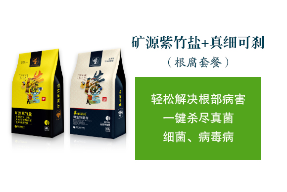 �������ý�-�漚�Ʉx_02