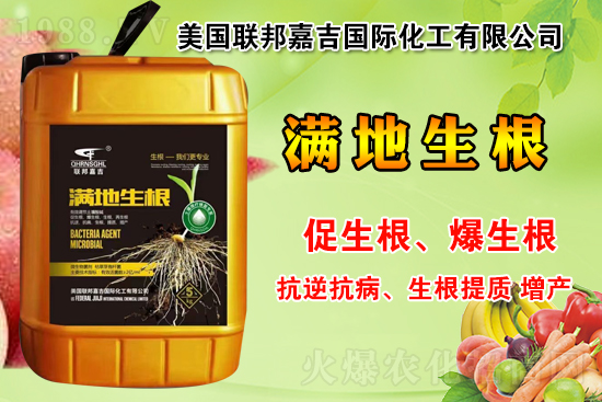 聯(lián)邦嘉吉怎么樣，聯(lián)邦嘉吉有哪些特色？公司暢銷產(chǎn)品有哪些？