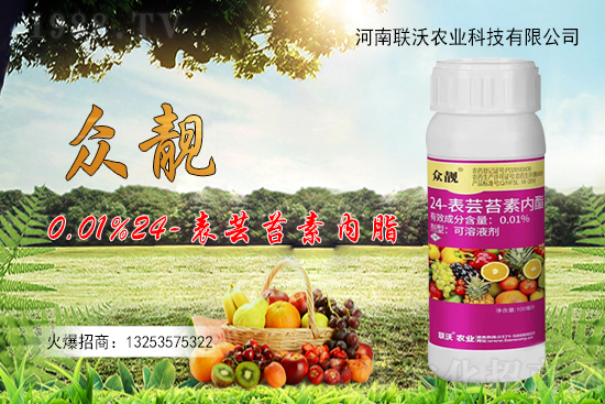 (li��n)���r(n��ng)�I(y��)�m(x��)�s1988.TV���y�ֹ���(chu��ng)���x����