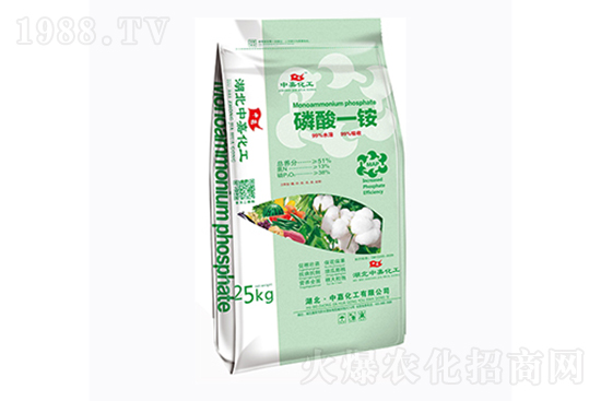 ����(n��i)���@�r���Ј��������2021.11.13