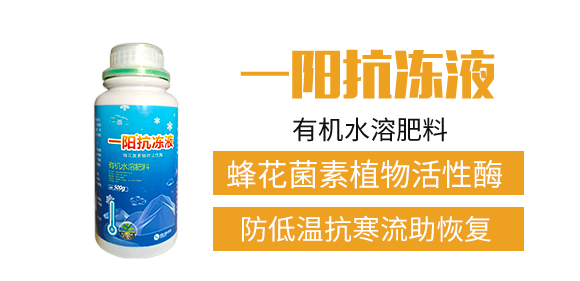 ����һ���r(n��ng)�I(y��)�Ƽ����޹�˾2_02