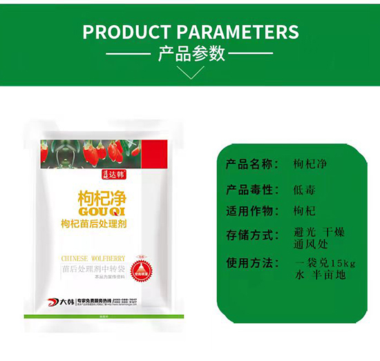 ��轳��݄�-������-��轌���-���n2