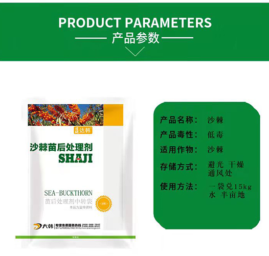 ɳ������݄�--ɳ�������-ɳ���(zhu��n)��-���n2