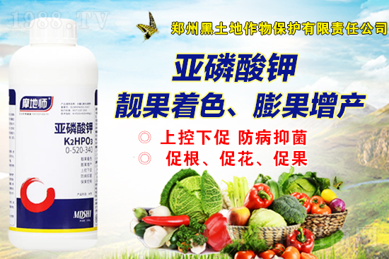 2021��12��2�����@��(b��o)�r(ji��)�Ƕ�����