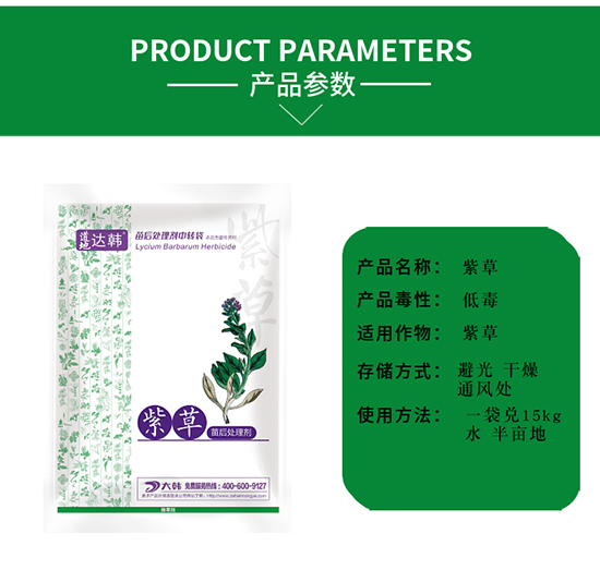 �ϲݳ��݄�-�ϲ����-�ϲ݌���-���n2