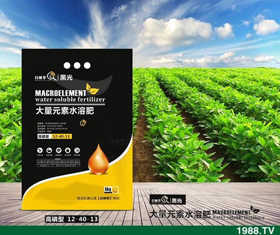 暫穩(wěn)運行，2021.12.31今日磷酸二銨價格