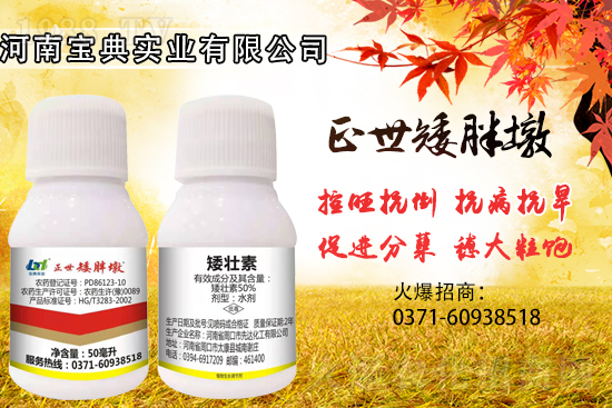 С���������ݲ��ɓ������I(y��)������Ч��������