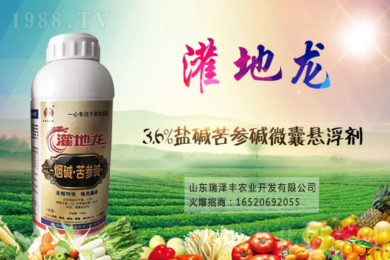 �����A���x���r��2021��2��4��