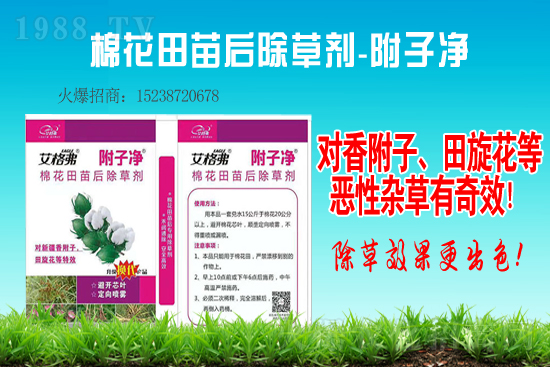 �����׻�¡���݄��r��2021.2.4