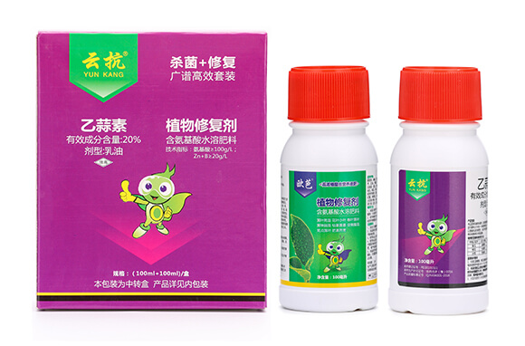 20%������+ֲ���ޏ̈́�-���ְ���6