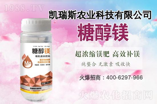 馬鈴薯噴什么葉面肥結(jié)果多？馬鈴薯種植條件及管理！