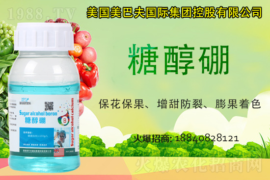 ���յ��ȶ����Xһ����2021�굾�ȃr(ji��)���Ƿ�߀��(hu��)�q��