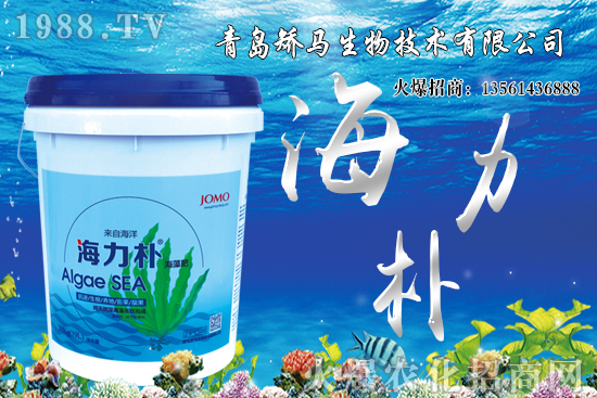 ѩ����r(ji��)������Xһ�ã�2021��Nֲѩ����ٍ�X����