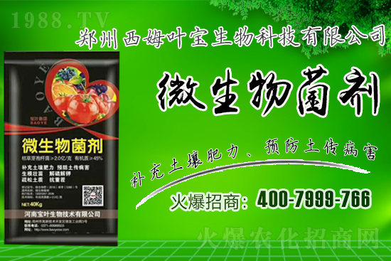 春季適合露地栽培的蔬菜品種有哪些？有哪些種植注意事項(xiàng)？