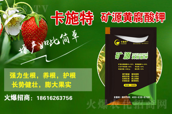 ���ջ����r(ji��)������Xһ����2021��3��19�ջ����r(ji��)������