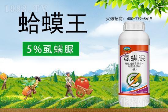 ʭ����������ô�������x���c(di��n)��ʲô��