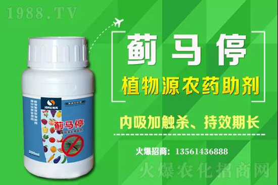 2021��3��5�ն����皢�x���r(ji��)���߄�