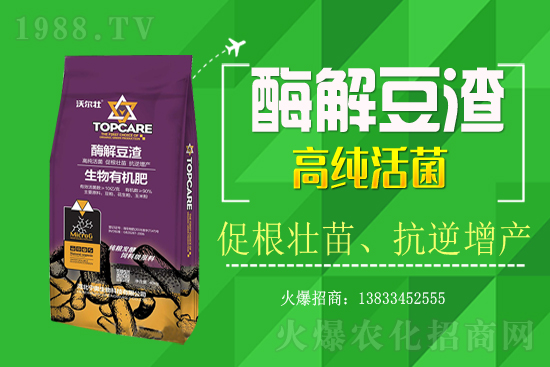 紫蘇種植怎樣管理？紫蘇田間除草及施肥技術(shù)！