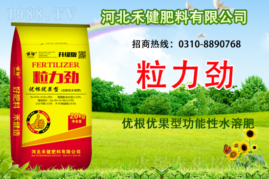 �����̙C���������A���ӱ��̽��ɹ����s1988.TV������(chu��ng)�������죡