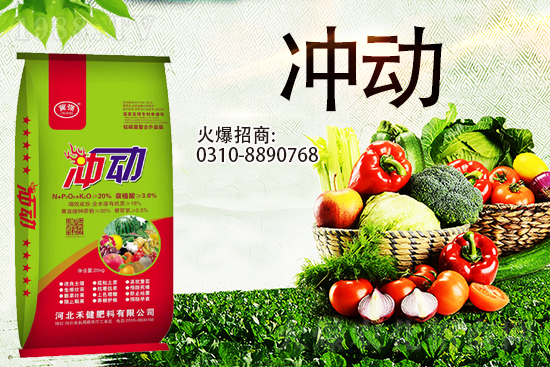 �����̙C���������A���ӱ��̽��ɹ����s1988.TV������(chu��ng)�������죡