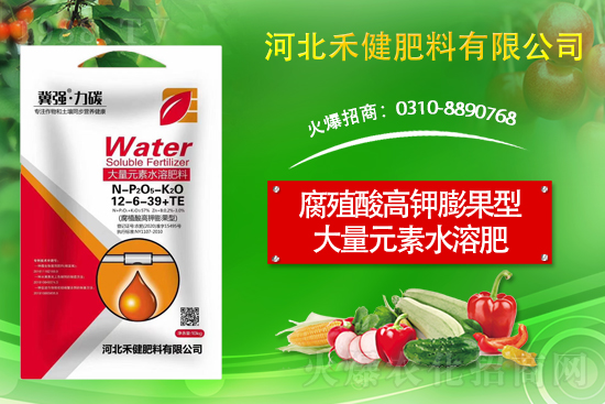 �����̙C���������A���ӱ��̽��ɹ����s1988.TV������(chu��ng)�������죡