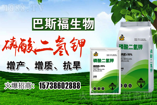 С���r(ji��)��F(xi��n)�ڶ����Xһ�������������߄�(sh��)�����