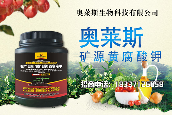 靈芝生產(chǎn)季節(jié)是什么時候？靈芝熟料段木仿生栽培技術(shù)！