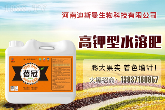 ���ϵ�˹���ٺ�1988.TV���y�ֹ��M(j��n)���T�����x����