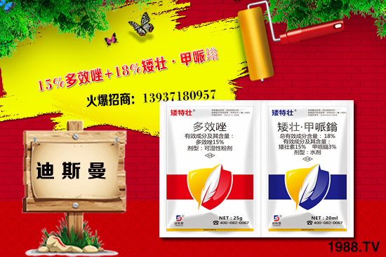 ���ϵ�˹���ٺ�1988.TV���y�ֹ��M(j��n)���T�����x����