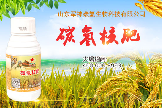 碳?xì)浜朔适鞘裁捶?？為什么效果這么好？