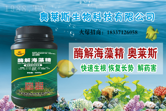 大豆價格還會上漲嗎？今日大豆價格行情