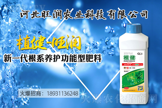 �{ݮ������ô�Nֲ���{ݮ����ķNֲ���޼����ݼ��g(sh��)��