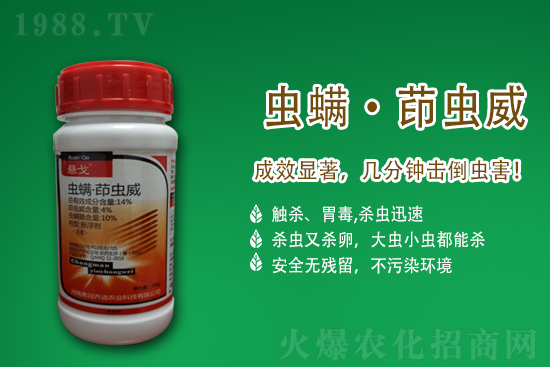 ϩ�����ͪ���x���r��2021.5.1