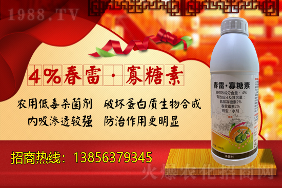 ���r(n��ng)���W(w��ng)ϲӭ���������y�������r(n��ng)�I(y��)����ؔ(c��i)��֮·��