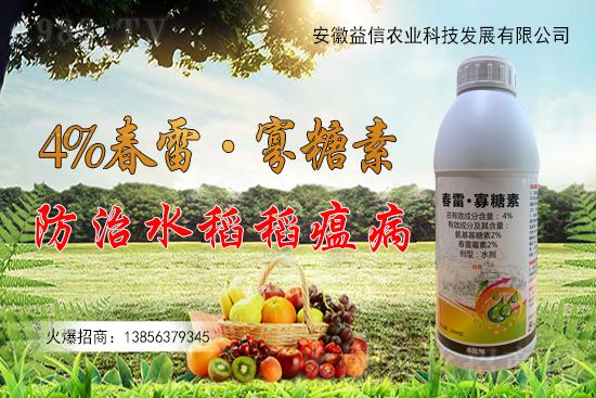 ���r(n��ng)���W(w��ng)ϲӭ�����ѣ��y�������r(n��ng)�I(y��)����ؔ(c��i)��֮·��